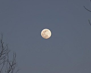 Moon on Groundhog Day