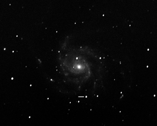 SN in M101
